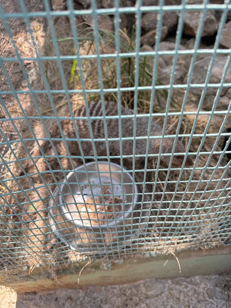 Harmony Junior School